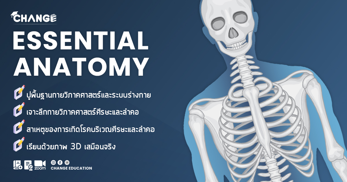 Essential Anatomy พื้นฐานที่จำเป็นสำหรับกายวิภาคศาสตร์ ครั้งที่ 4 ประจำปี 2567